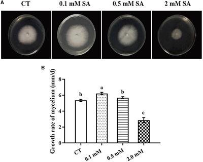 Low temperature, mechanical wound, and exogenous salicylic acid (SA) can stimulate the SA signaling molecule as well as its downstream pathway and the formation of fruiting bodies in Flammulina filiformis